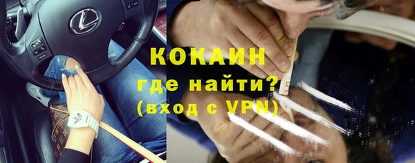 шишки Медвежьегорск