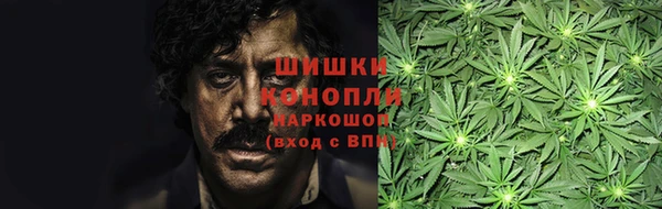 шишки Медвежьегорск