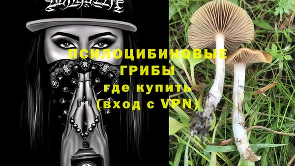 гидропоника Медногорск