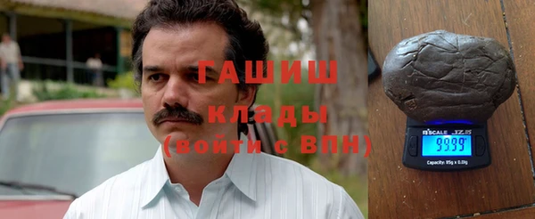 шишки Медвежьегорск