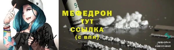 шишки Медвежьегорск