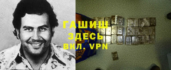 шишки Медвежьегорск