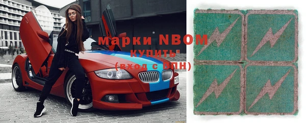 шишки Медвежьегорск