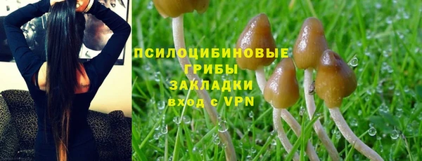 гидропоника Медногорск
