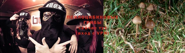 шишки Медвежьегорск