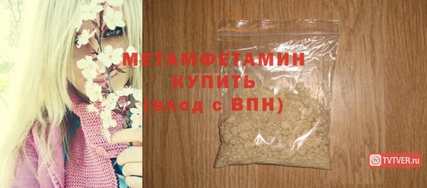 шишки Медвежьегорск