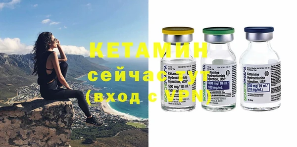 шишки Медвежьегорск