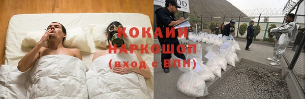 шишки Медвежьегорск