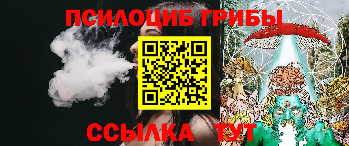 Топки  Галлюциногенные грибы мухоморы  где найти наркотики  Вход с VPN 
