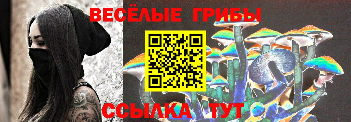 Псилоцибиновые грибы Magic Shrooms Топки